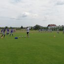 sparing 2